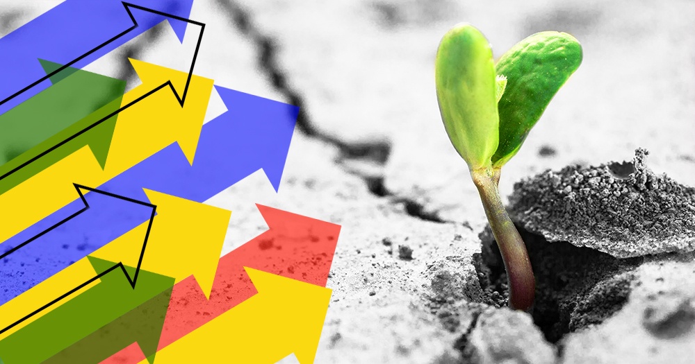 Grow your business with outsourced sales